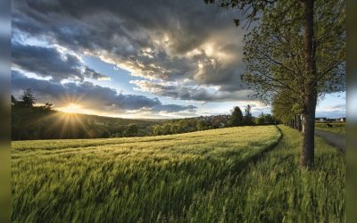 De ontwikkeling van je ziel belichamen